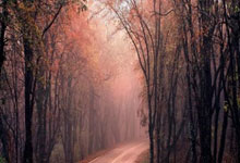 [天下足球]20250127 马尔穆什：神锋奔“月”.